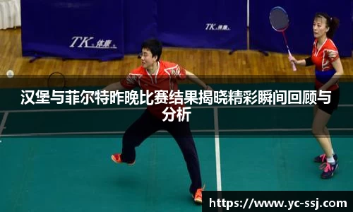 汉堡与菲尔特昨晚比赛结果揭晓精彩瞬间回顾与分析